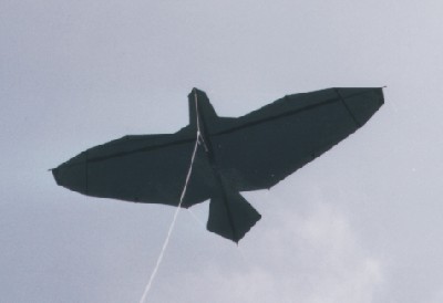 Eagle one